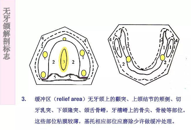 精品牙齿